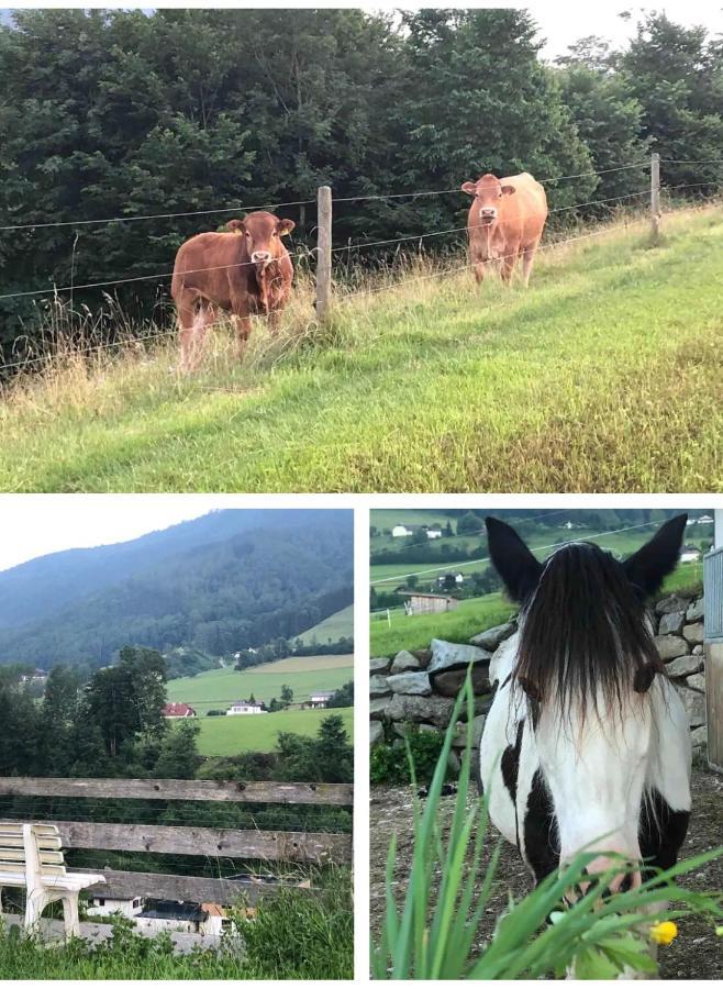 Ferienhaus Am Traunsee Mit Bergsicht Traunkirchen Zewnętrze zdjęcie
