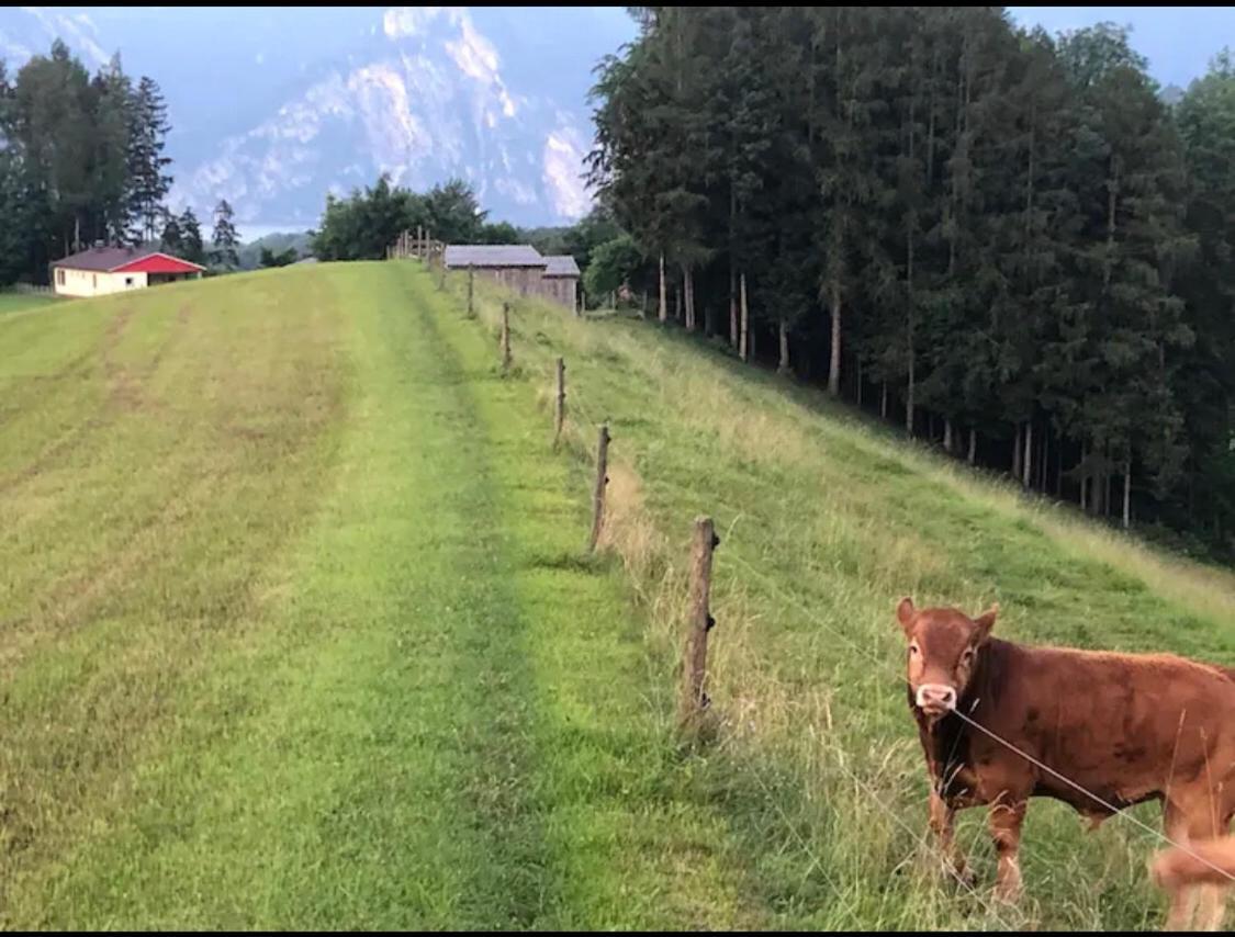 Ferienhaus Am Traunsee Mit Bergsicht Traunkirchen Zewnętrze zdjęcie